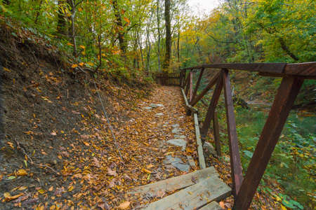 Wooden ladder to lift the parking lot for the restの写真素材
