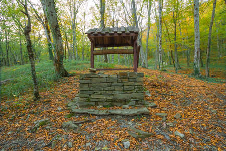 Well with a wooden shed in the forest