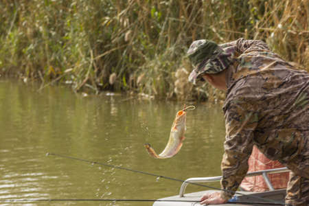 Fisherman caught a small catfish bait and tries to drag him into the boatの写真素材