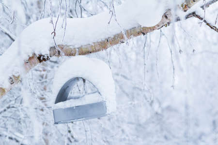 Birdhouse attached to a birch and covered with a layer of fluffy snow