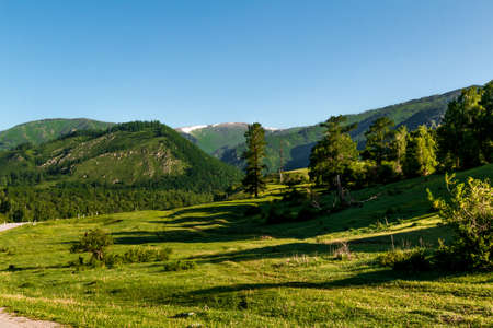 Mountain landscape in early summer in the Altaiの写真素材
