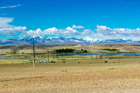 Mountain landscape in early summer in the Altai