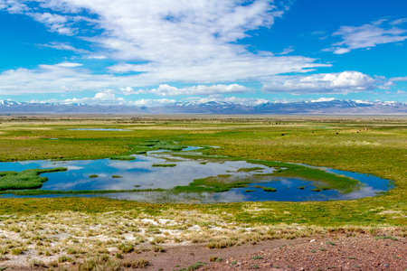 Mountain landscape in early summer in the Altai