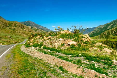 Republic of Altai Mountains paved road called Chuiski stretches to the Mongolian borderの写真素材