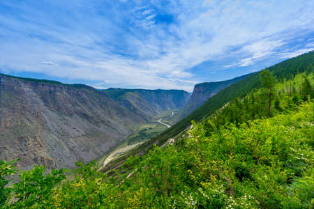 Mountain landscape in early summer in the Altaiの写真素材