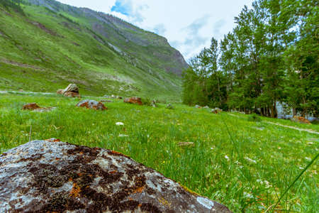 Mountain landscape in early summer in the Altaiの写真素材