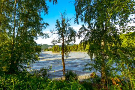 Small river with rocky shores flowing through a mountain valleyの写真素材