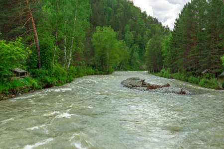 River landscape on a background of the Altay mountains