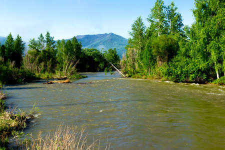 Small river with rocky shores flowing through a mountain valley
