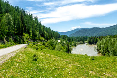 Muddy mountain river from melting snow flowing from the glacier peaks of the Altai Mountainsの写真素材