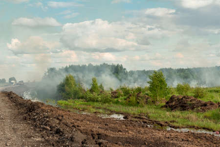 Natural landscape of the Altai Mountains in early summerの写真素材