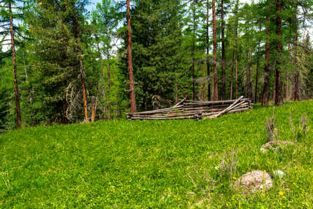Natural landscape of the Altai Mountains in early summerの写真素材