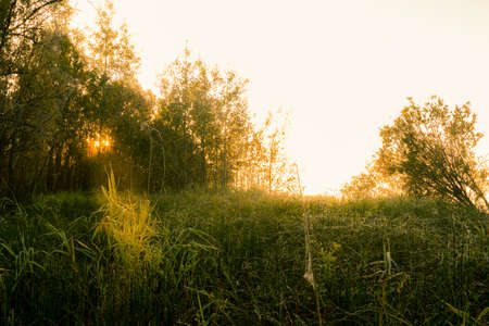 Sunrise over the forest lake in September