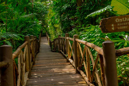 Landscapes, architectural monuments and sights of Phuket
