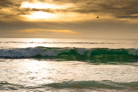 Marine sketches in Thailand Phuket Karon Beachの写真素材