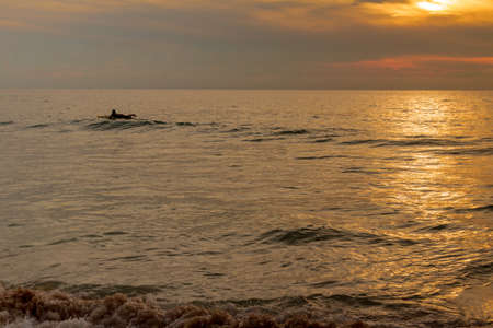 Marine sketches in Thailand Phuket Karon Beachの写真素材