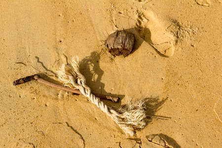 A piece of rope, old coconut and wooden stick in the sandの写真素材