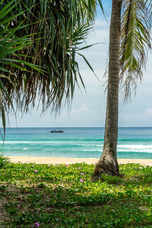Men on a long wooden fishing boat Thailandの写真素材