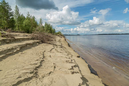 On the bank of the river Ob on a summer day bankの写真素材