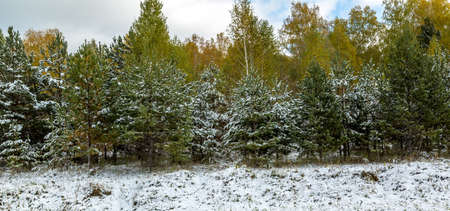 First October snowの写真素材