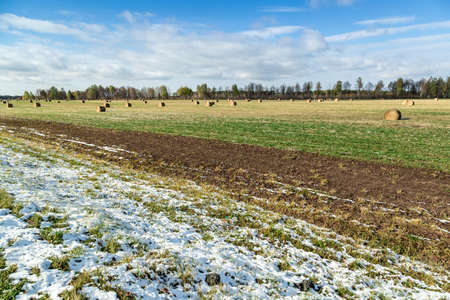 Haymaking on the fieldの写真素材