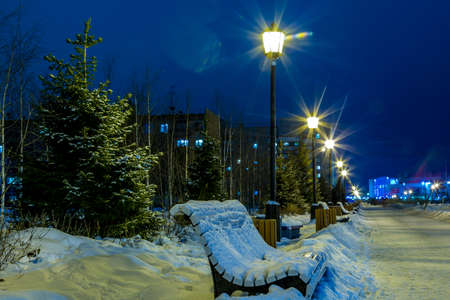 In the night parkの写真素材