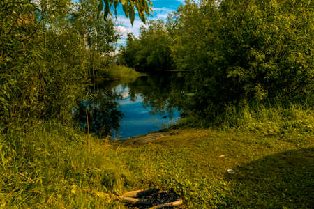 The forest river overgrown with dense vegetation along the banksの写真素材