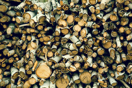 Close-up of a woodpile of birch with birch barkの写真素材