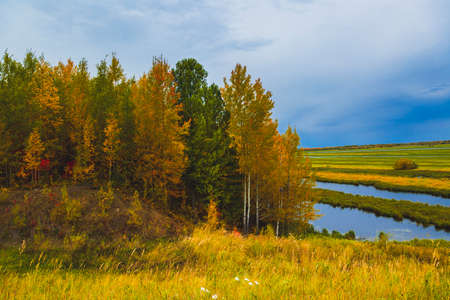 On the border between the forest and the floodplain of a dried-up river