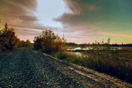 The country road overgrown with small wood makes a turnの写真素材