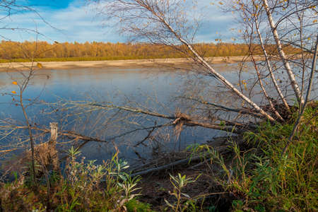Steep bank of the river with leaning trees and snags near the water