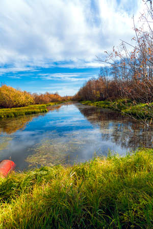 Forest river with shores of wooded hardwoods against a blue sky on an early September after-noonの写真素材