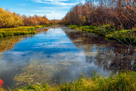 Forest river with shores of wooded hardwoods against a blue sky on an early September after-noonの写真素材