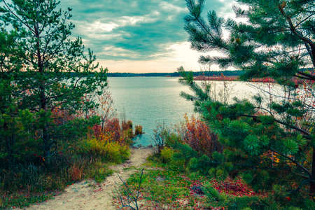 A narrow path leads to the river between the firsの写真素材