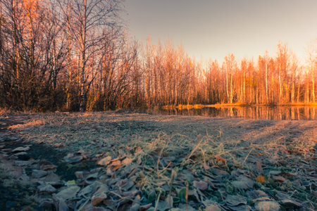 The shores of the lake were overgrown with grass and shrubs and covered with frost after the first...