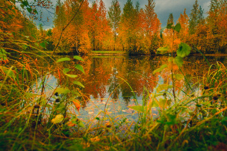 Colorful autumn landscape in September near a small forest lake surrounded by a leafy forest with...