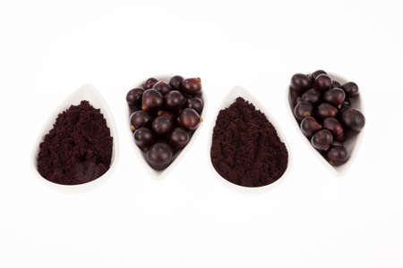 Fruit and acai powder - Euterpe oleracea.の写真素材