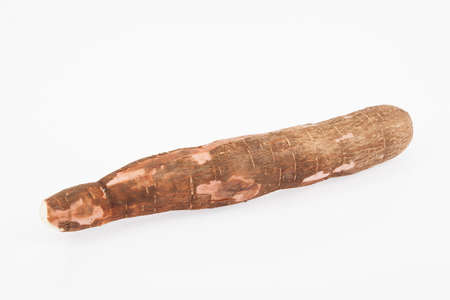 Raw cassava starch - Manihot esculenta. on white background