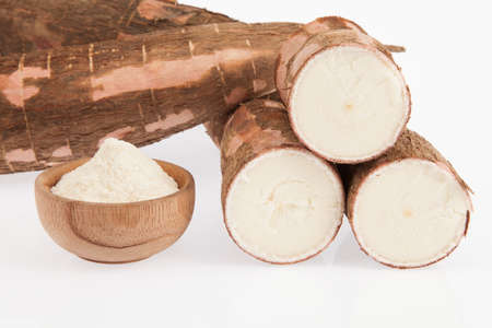 Raw cassava starch - Manihot esculentaの写真素材