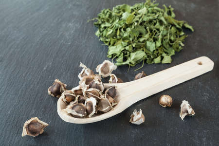 Organic moringa seeds - Moringa oleiferaの写真素材