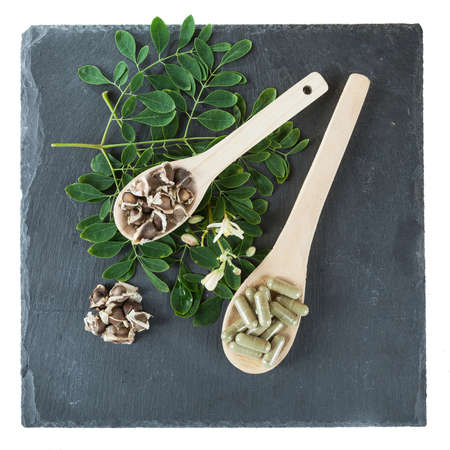 the tree of life-Moringa oleifera medicinal plantの写真素材