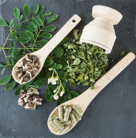 the tree of life - Moringa oleifera medicinal plantの写真素材