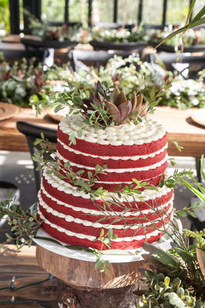 Cake for the wedding celebration.の写真素材