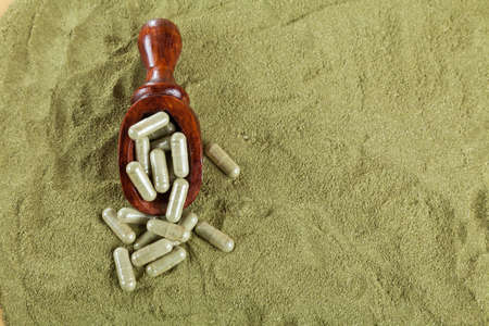 Capsules with powder moringa (Moringa oleifera)の写真素材