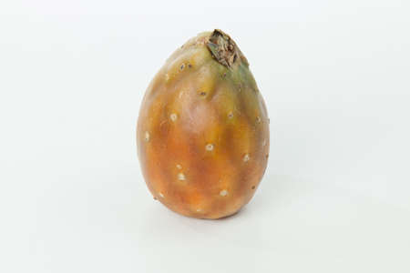 Prickly pear cactus fruits - Opuntia ficus indica; photo on neutral background.の写真素材