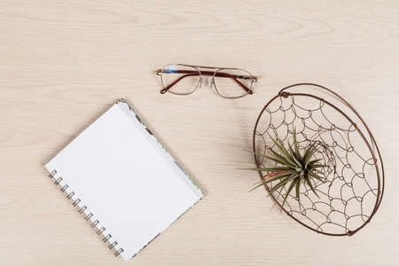 Notebook, Glasses Eyes, And Ornamental Plant.の写真素材