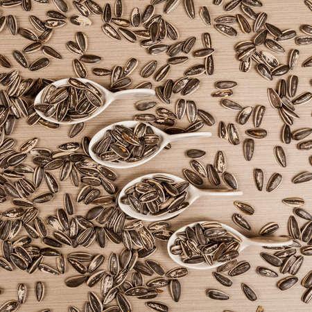 Sunflower Seeds - Helianthus Annuus.の写真素材