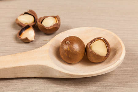 Macadamia Nuts - Macadamia Integrifolia.の写真素材