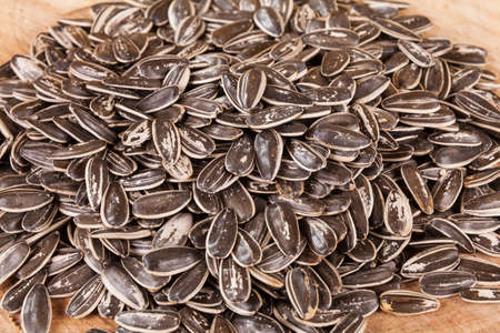 Sunflower Seeds - Helianthus Annuus.