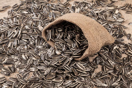 Sunflower Seeds - Helianthus Annuus.の写真素材